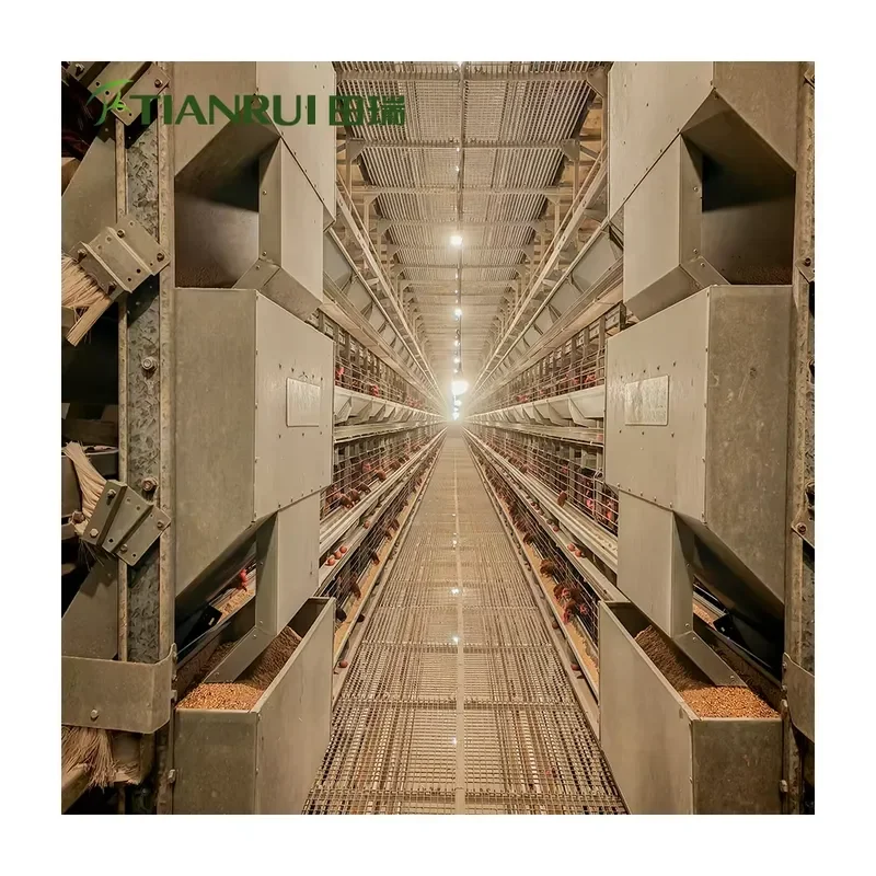 Fully Automatic Galvanized Steel H-Type Battery Cages for Egg-Laying Hens Farming Equipment 15-20 Year Lifespan for Tianrui
