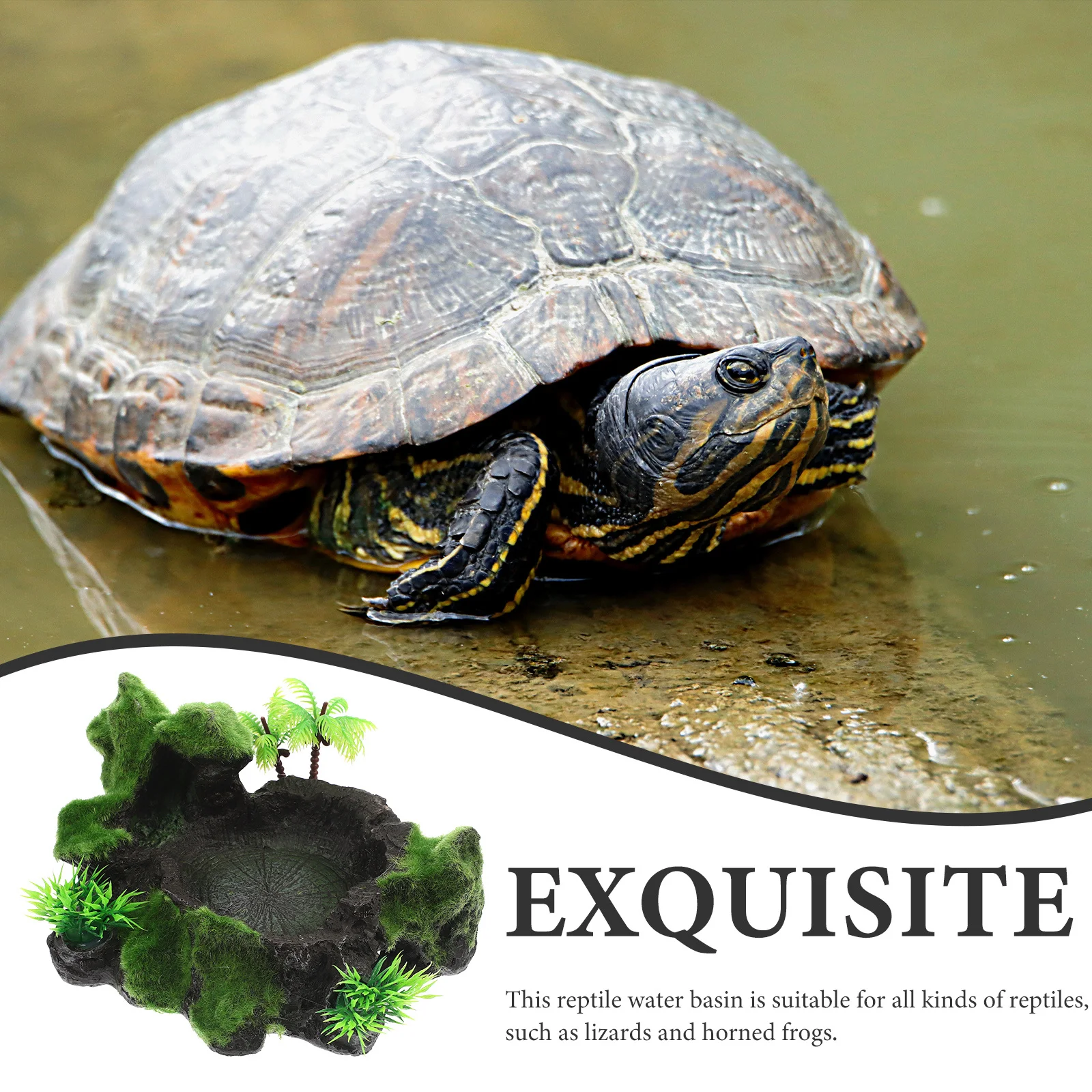 

Decorative Reptile Feeding Dish Resin Bowl Stable Non-Slip Natural Water Dish Terrarium Accessory Wear-Resistant Safety Use