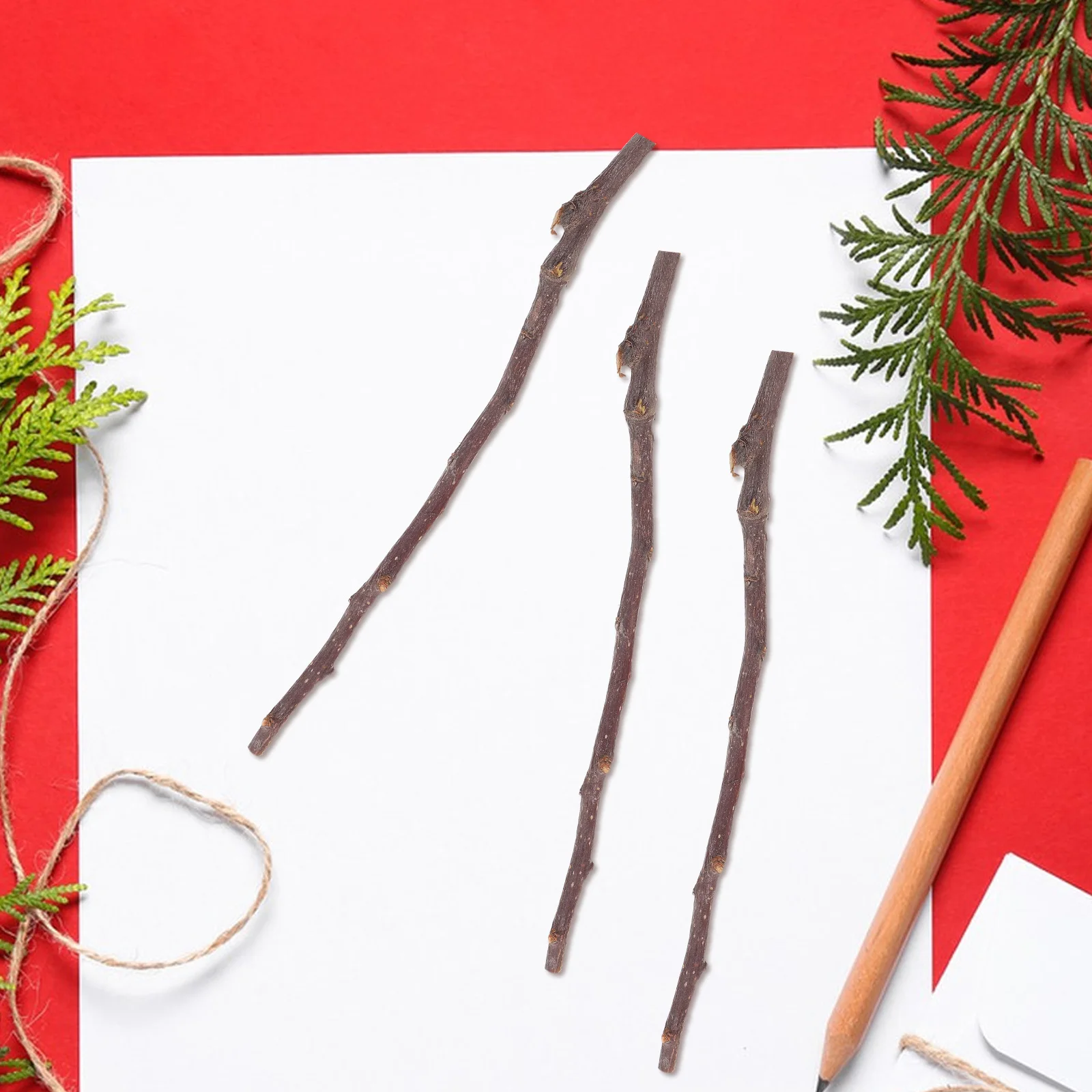 

50 Pcs Dried Branches Decorative Material Crafts Mini Sticks DIY Handmade Wooden Birch Natural Wood Sticks Twig Tree Twigs Craft