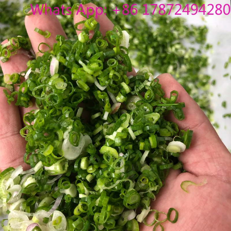 Multifunctional Industrial Salad Vegetable Cabbage Celery Slicer Cutter Machine Vegetable Cutting Machine