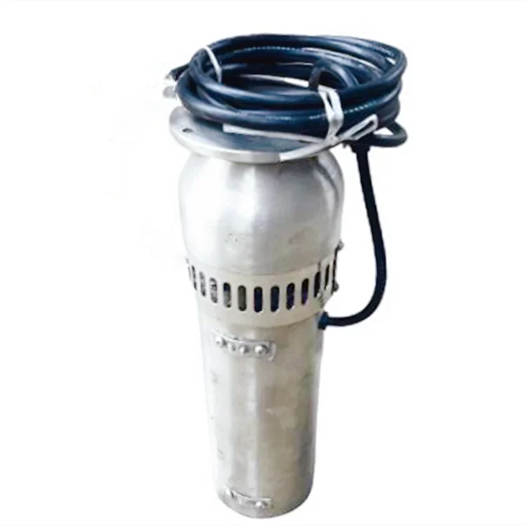 

4KW large discharge stainless steel shallow well water drawing submersible pump