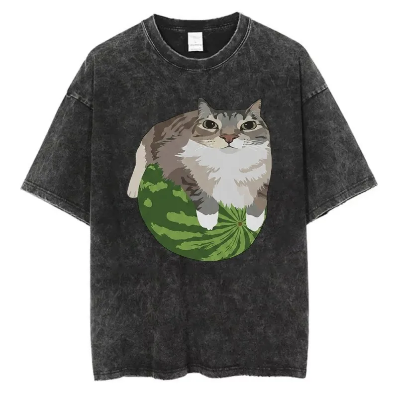 Funny Cat Watermelon Graphic T Shirt Women Pure Cotton Cute Tabby Cat Summer Retro Aesthetic Harajuku Fashionable Top New Tee