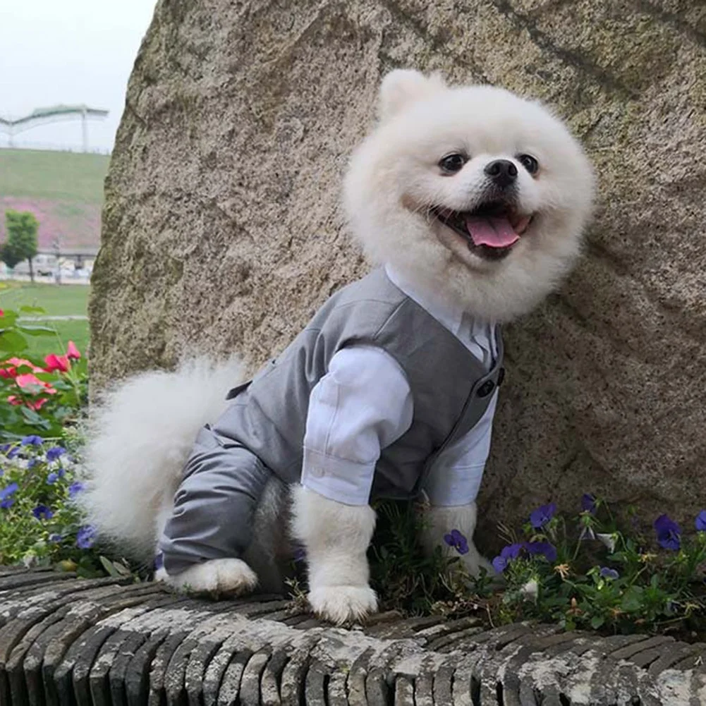 Pet Shirt And Pants Suit Dog Wedding Party Vest Cat Onesie Coat Puppies Outdoor Windproof Thermal Suit Clothes