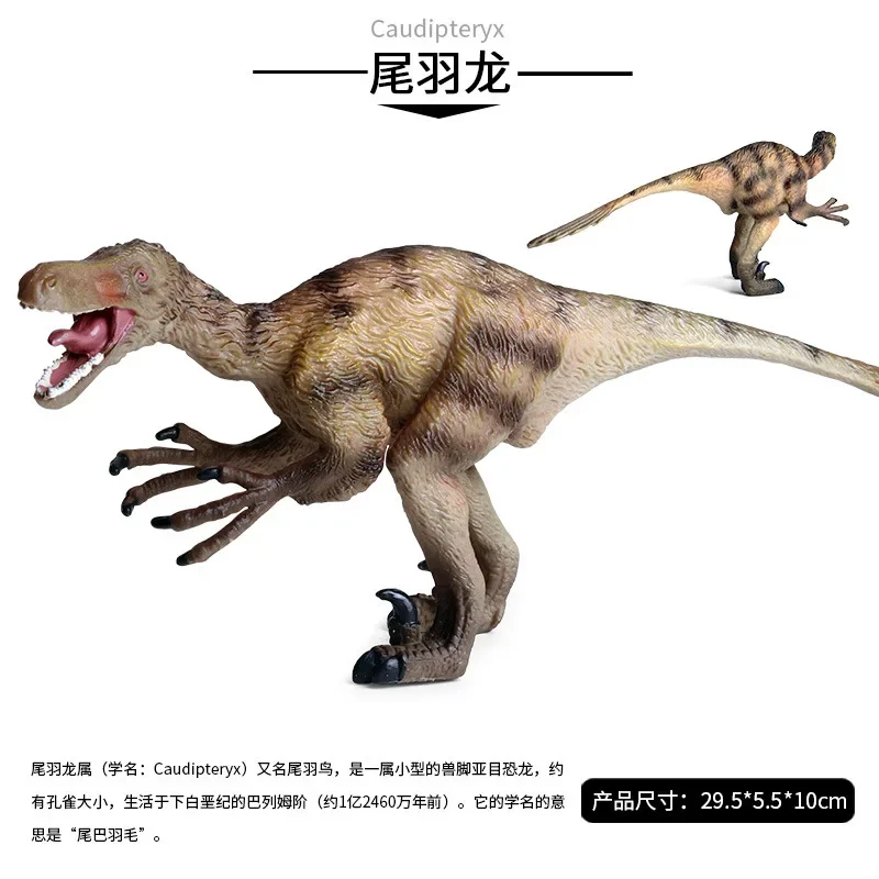 Dinosaur Toys Jurassic Dinosaur Model T- Rex Tail Feathered Dragon Velociraptor Simulation Animal Model