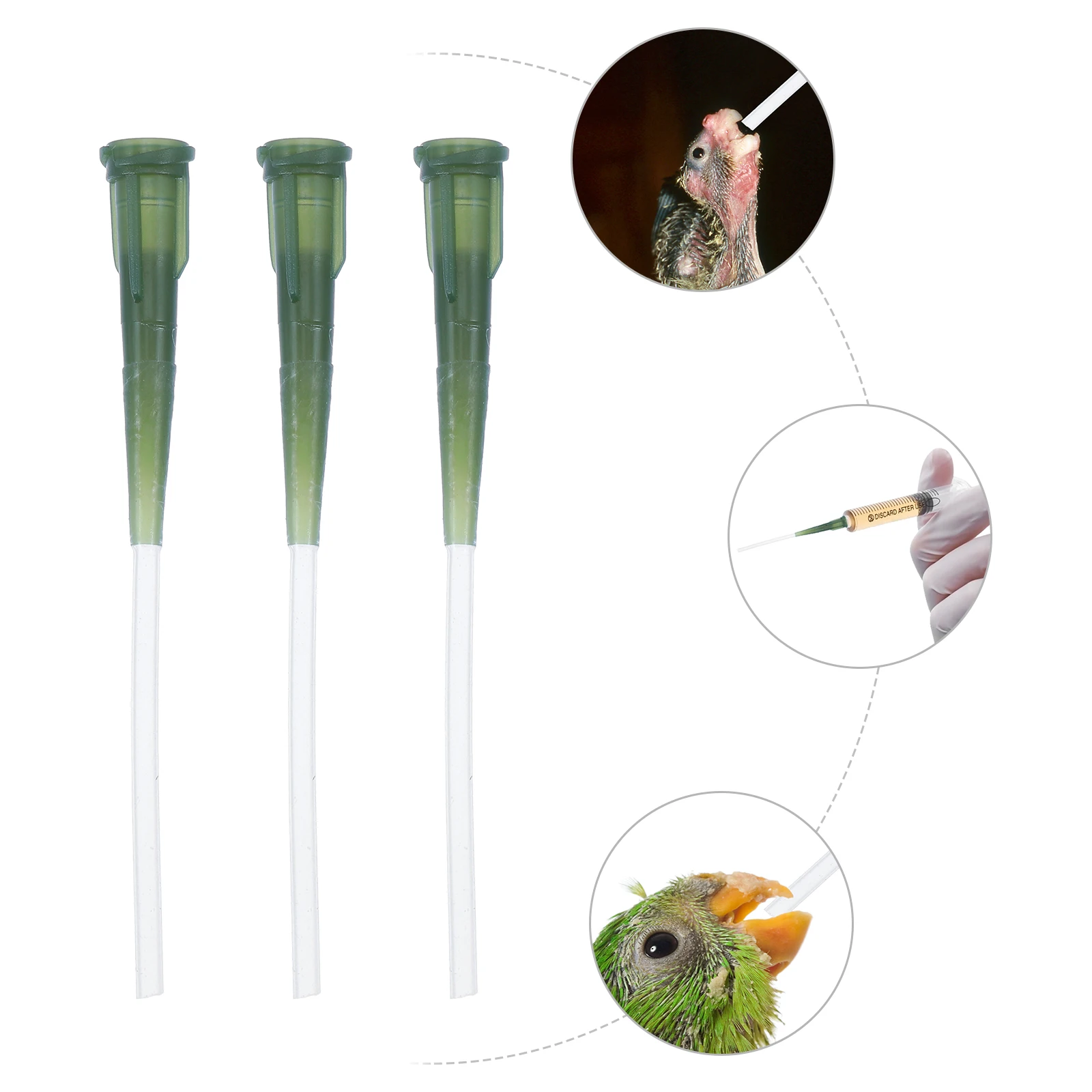 

3pcs Feeding Hose for Baby Birds Food Grade Soft Tube Pet Supplies Easy Safe Environmental Newborn Bird Tool