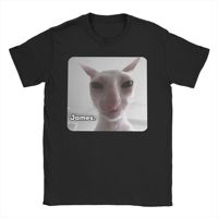 Funny James Cat Meme Pure Cotton T-Shirt For Man Summer Cute  Classic T Shirts Round Neck Harajuku Tee Shirt Oversized Loose