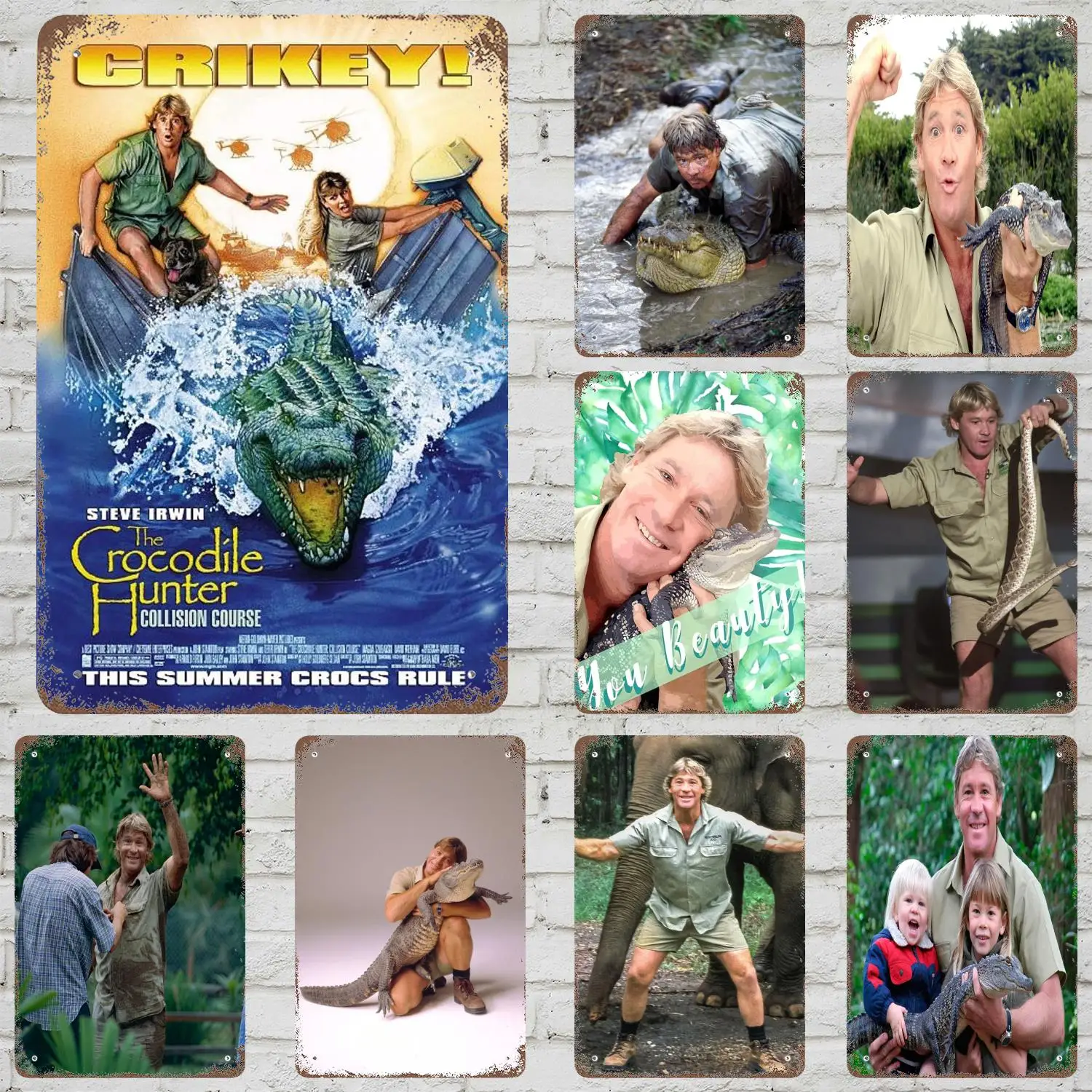 steve irwin TV host Retro Vintage Tin Sign Poster Decorative Plaque Metal Plate Wall Decor