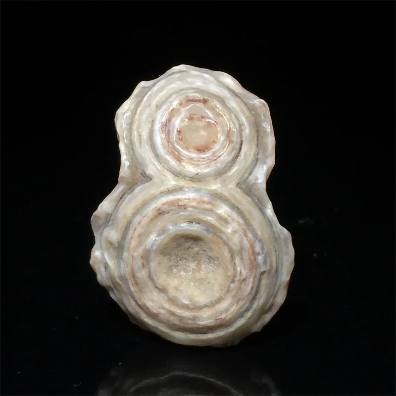 

Natural Alxa Agate Eye Stone Pure Raw Stones Charms Agate Nuggets Beads Make Up Jewelry Pictographic Alashan Gobi Agate