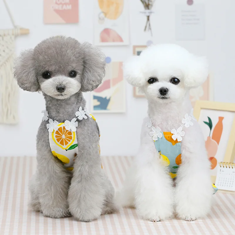 Nuevo Vestido de Verano para Perros y Gatos, Ropa Linda con Estampado de Limones para Cachorros y Gatitos, Vestido de Verano para Perros y Gatos Pequeños y Medianos