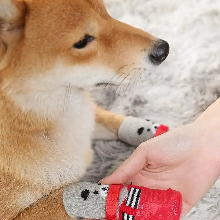 Thumbnail 3 - #72 Puppy Boots Comparison Guide