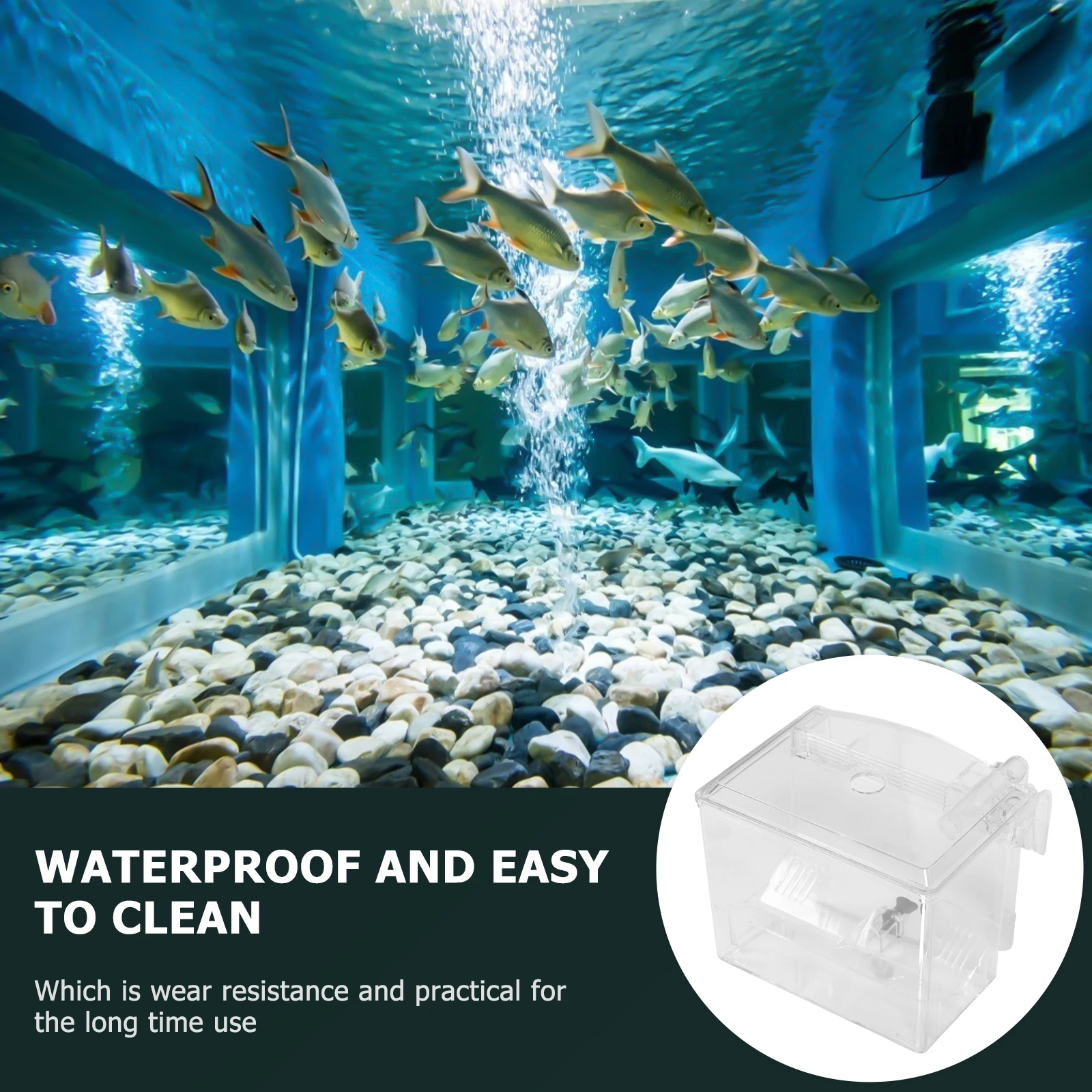 

Plastic Fish Isolation Box Hatchery Tank Accessory Breeding Case Oxygen Strainers Safe Durable Separating Protecting Newborn