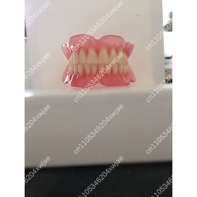 Dental Teaching Display Model Full Mouth Removable Denture For The Aged Removable False Teeth Demonstration Prosthesis Model