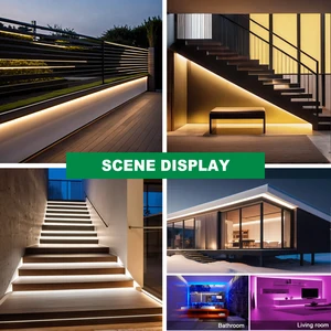 AC 220V COB NEON 288LEDS/M Weiß Rot Blau Rose gelbgrün 8 Hauptverkäufe lila LED -Band - №5