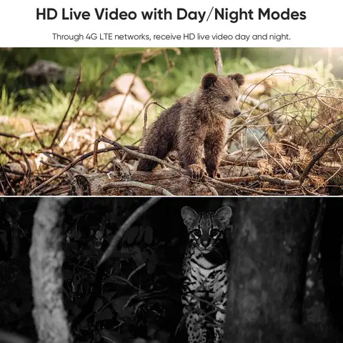 10 best sales वाईफ़ाई कैमरा आउटडोर सौर - №10