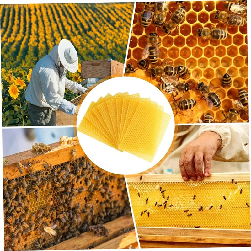 Beeswax Sheets Beeswax Foundation Sheets Wax Foundation For Bee Frames Natural Honeycomb Sheets Beeswax Sheets