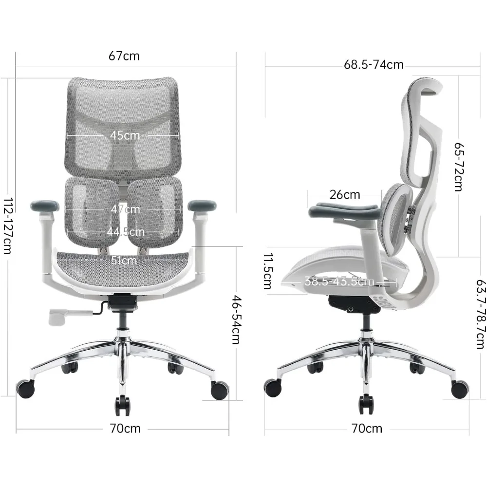 Ergonomic Office Chair - with Dual Dynamic Lumbar Support, 5-Level Adjustable Backrest