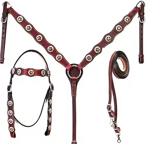 

Western Headstall &breast Collar Set Premium Cowhide Leather Lightweight Custom Beaded Designs Seasonal Horse Tack Top Trending