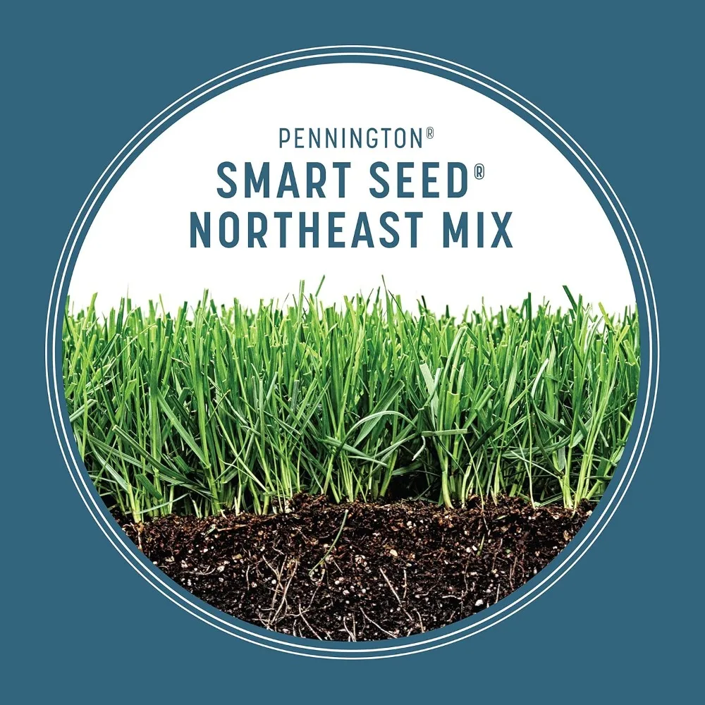 Smart Seed Northeast Grass Mix 20 Pfund