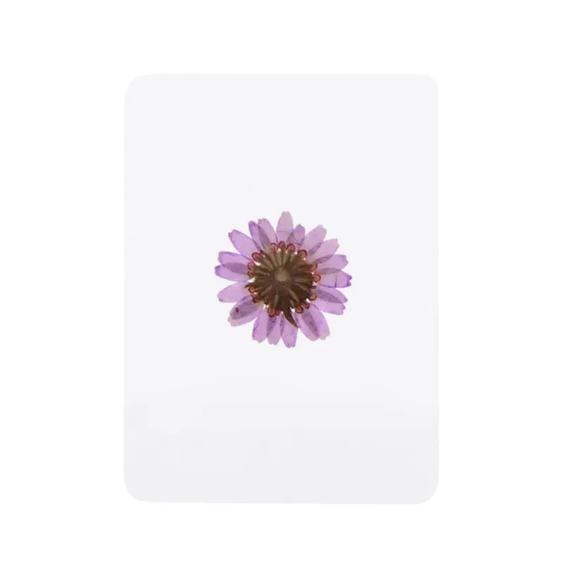Natural Dried Flowers and Leaves Plant Fillers for Resin Jewelry Pendant Bracelet Scrapbooking DIY Arts Cards