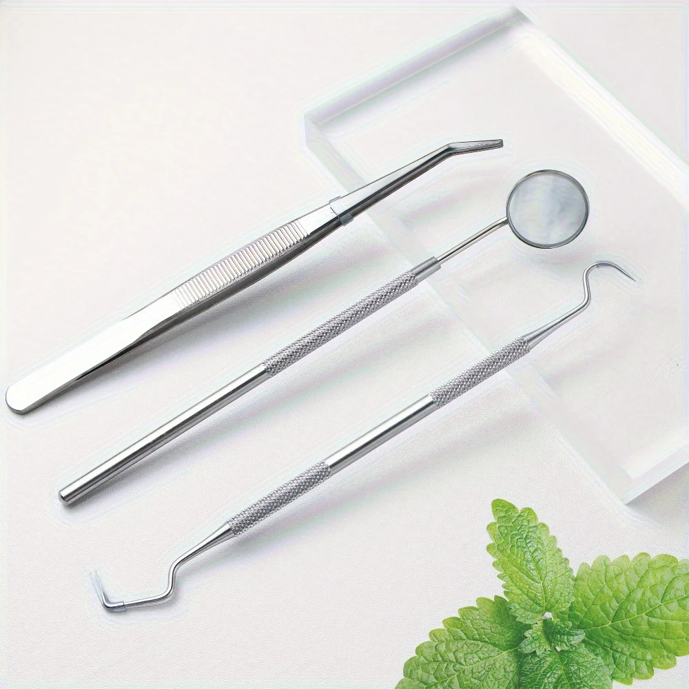 Toothpick Cleaning Kit,Stainless Steel Toothpick Tool Portable Cleaning Tool with Mirror,Ideal for Home and Travel Use Compact