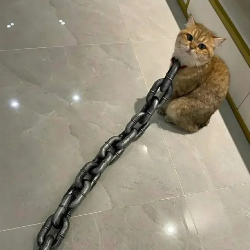 Sensationally Funny Pet Lead: Plastic Simulated Iron Chain for Daily Walks