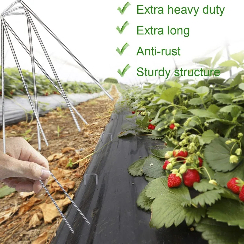 أسلاك جدار U نوع ثقيل لأسلاك الحواجز، أسلاك مغلفة بالزنك لثني الأعشاب، أسلاك سطحية لحاجز الجARDEN، أسلاك سطحية لجARDEN، أسلاك سطحية لجARDEN، أسلاك مغلفة بالزنك لثني الأعشاب #5