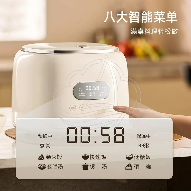 Compact Travel Electric Rice Maker Small Stainless Steel Pot North America Export Kitchen Appliance