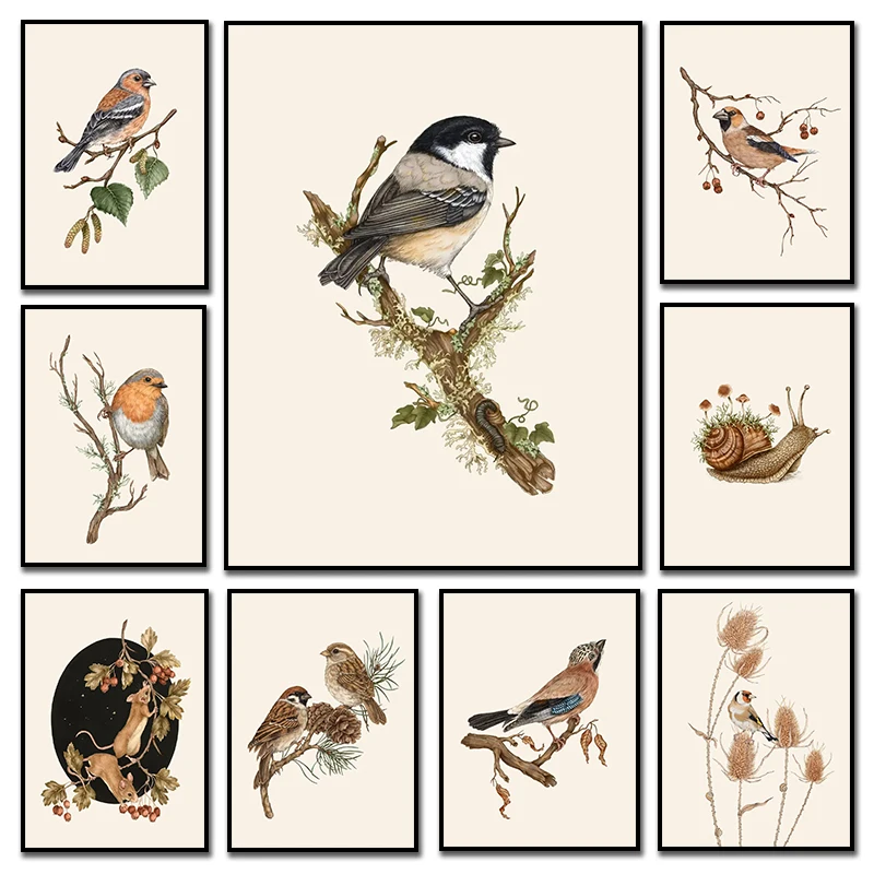 Retro Animal Garden Snail Goldfinch Mouse on Hawthorn Birds Branches Art Poster Canvas Painting And Prints HD Picture Home De