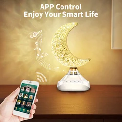 Quran Speakers Desk Lamp koran Moon Night Light Muslim Speakers for Gift Home office