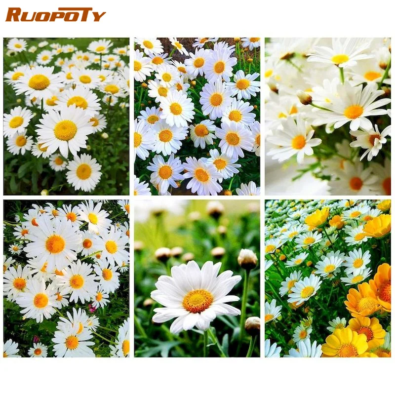 

RUOPOTY Diamond Embroidery Kits Flowers Cross Stitch 5d DIY Diamond Painting Daisy Rhinestones Picture Sale Art Home Decor