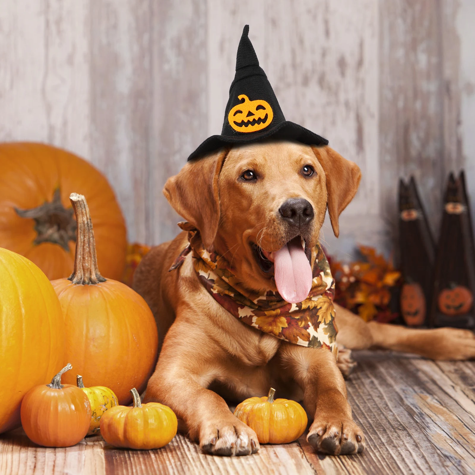 

1pc Halloween Pet Costume Cat Pumpkin Pet For Dogs Warm Washable Festive Party Supply Witch Ornament Halloween Dog Hat Festival