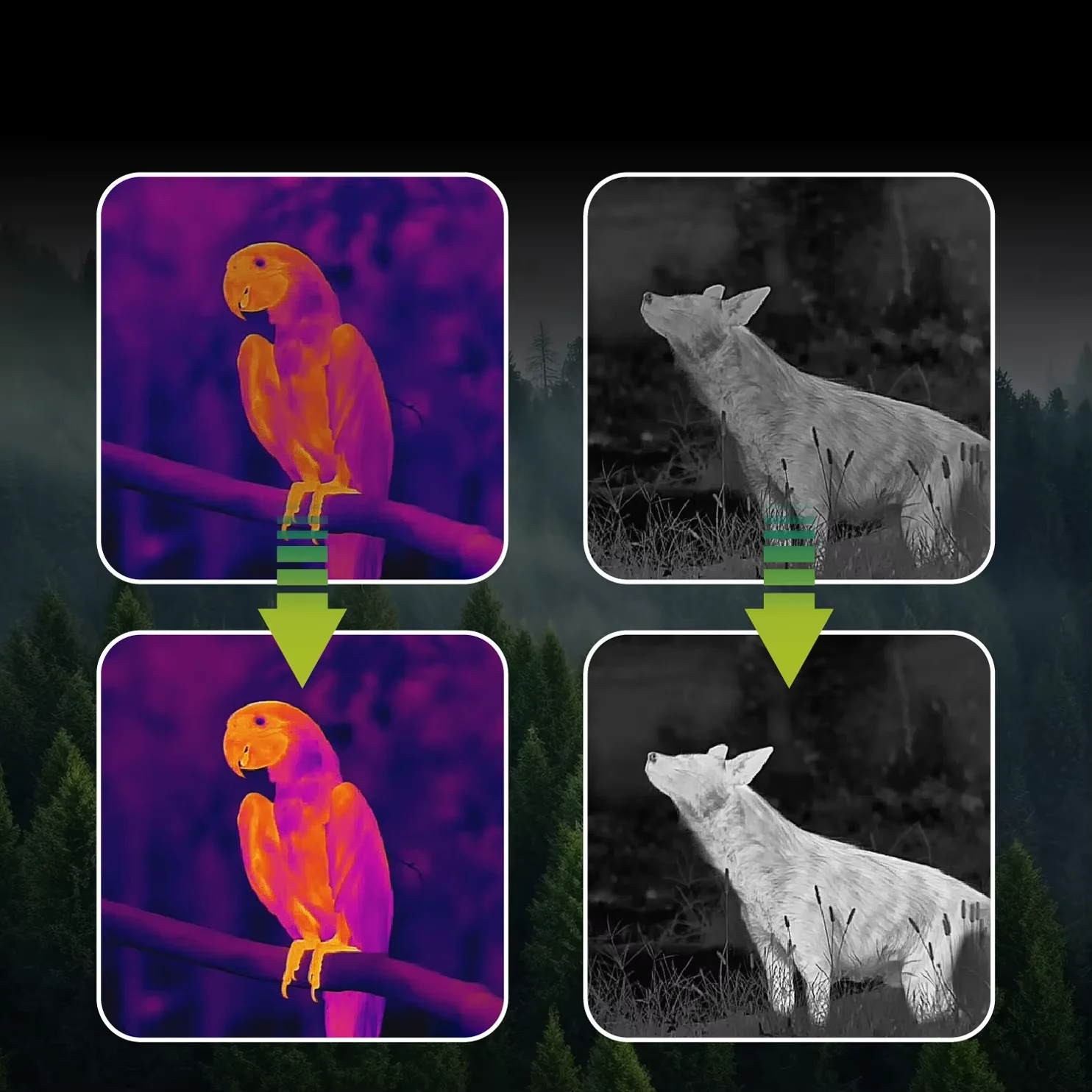 TOOLTOP M7 256*192 كاميرا تصوير حراري 8x تكبير 800 متر أندرويد التصوير الحراري دليل التركيز للرؤية الليلية للصيد في الهواء الطلق