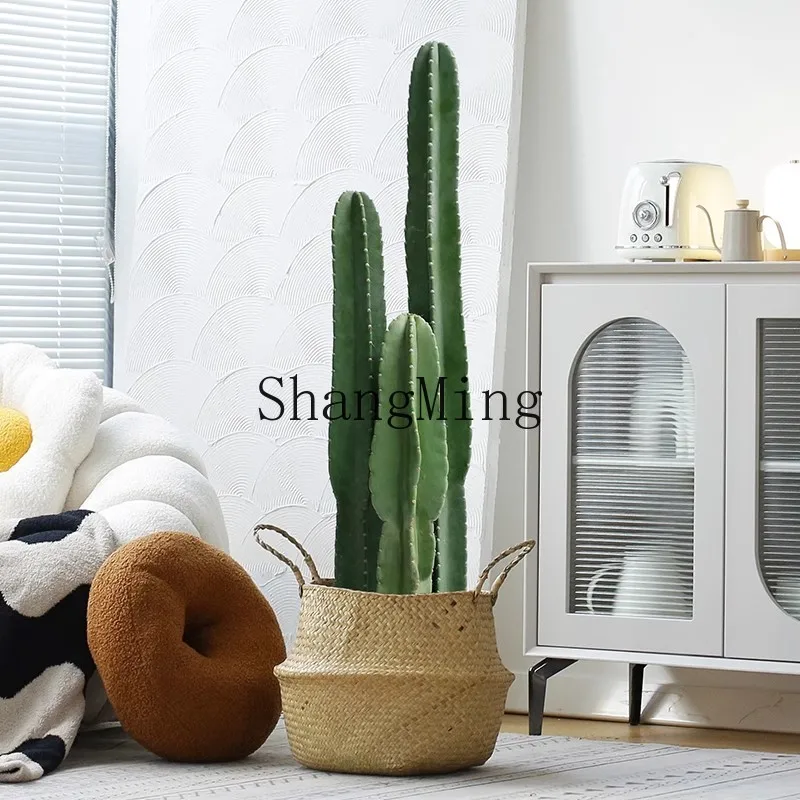

LXY cactus cactus succulent medium and large living room indoor potted plant