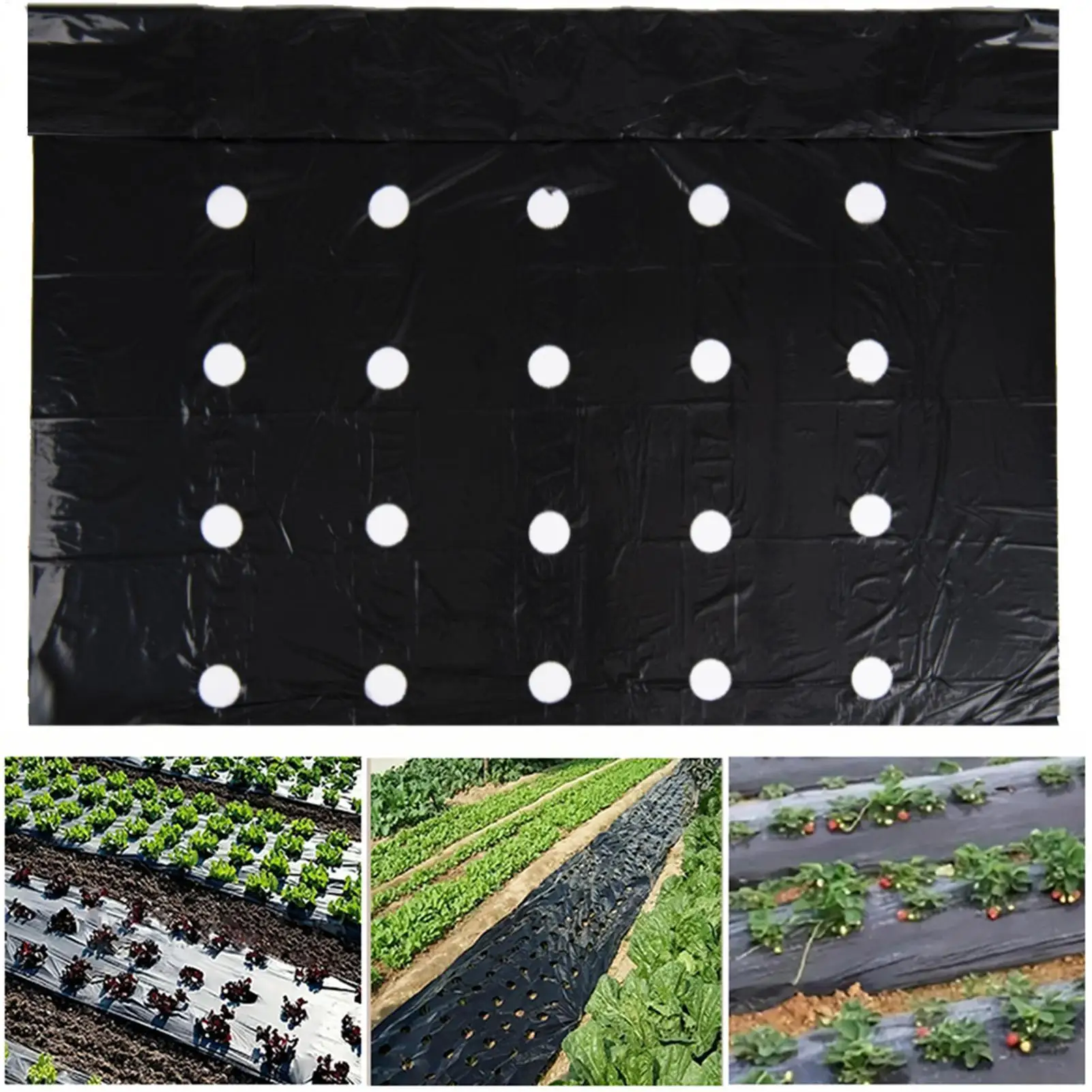 Mulch Film With Holes 32.8x3.12ft Perforated Black Mulching Membrane Frost-Proof Plant Mulch Layer For Strawberry Vegetable