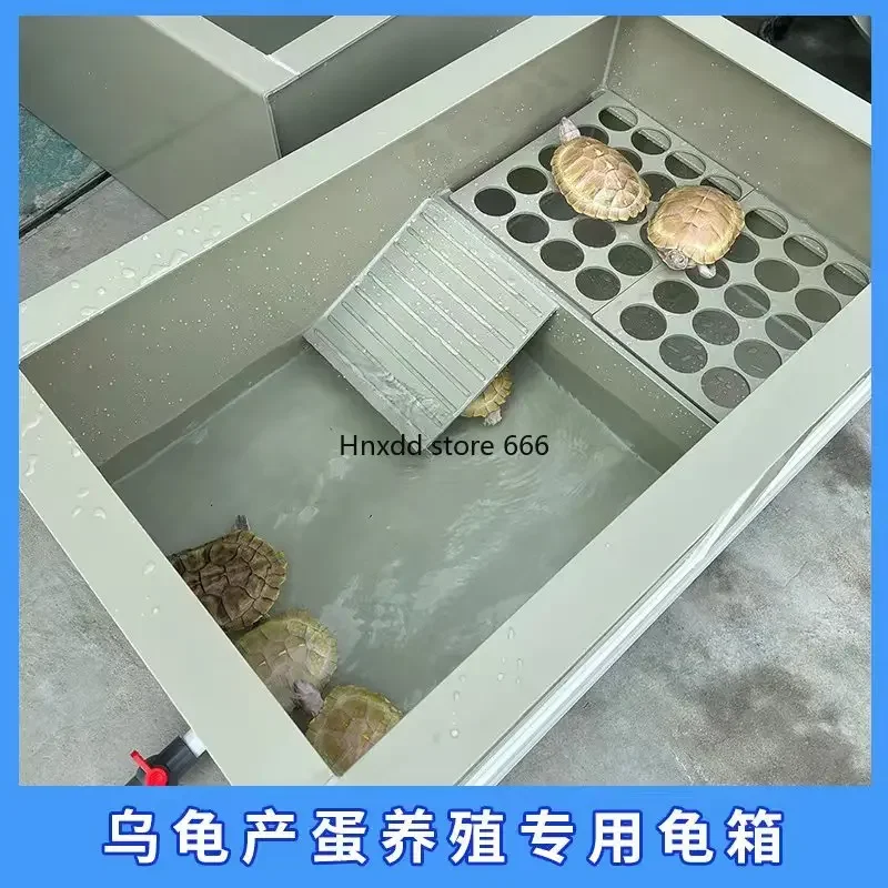 PP plastic villa with egg pool, turtle breeding box, amphibious