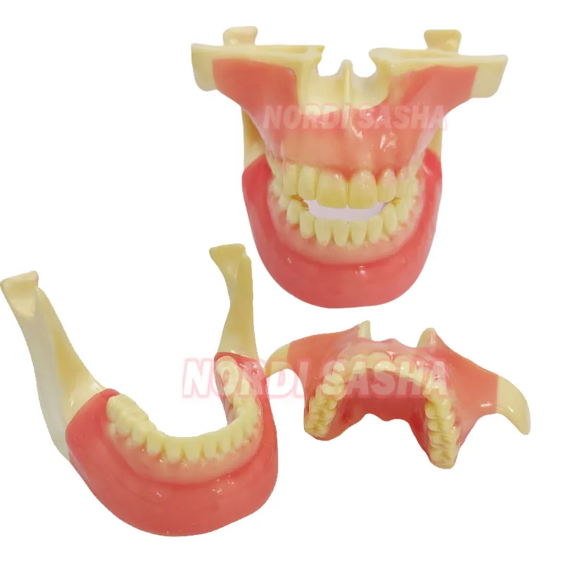 

1 шт./кор., зубной имплантат, анкерный винт для ногтей, тренировочная модель, литая из пенопласта, модель кости, обучающая модель для практики зубного имплантата