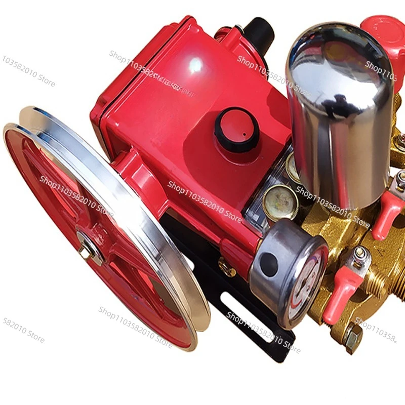 Agricultural Pesticide Sprayer Cleaning Machine Disinfection Spray Pesticide Sprayer 26 Type High Pressure Triplex Plunger Pump