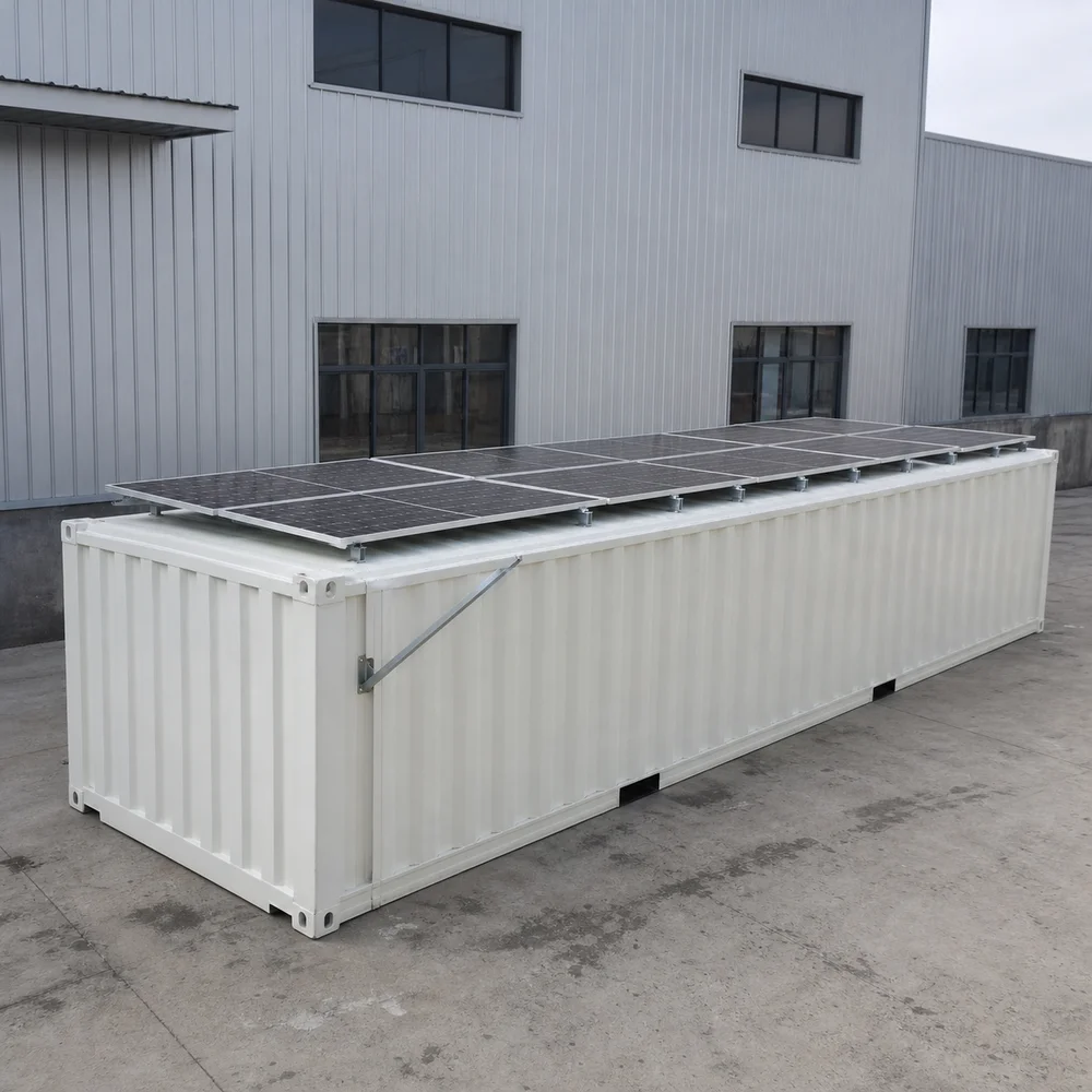 FOODLINE Solar Powered Refrigerated Container solar battery backup for fruit vegetable outdoor cold chain logistics