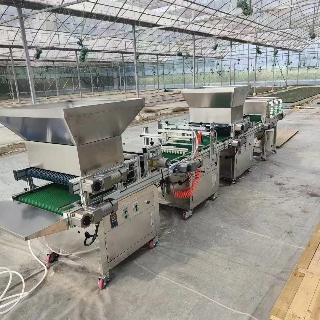 Automatic Seeds Sowing Machine For Seedling Vegetable Sowing For Tray Seedlings For 105 128 200 Cells Trays
