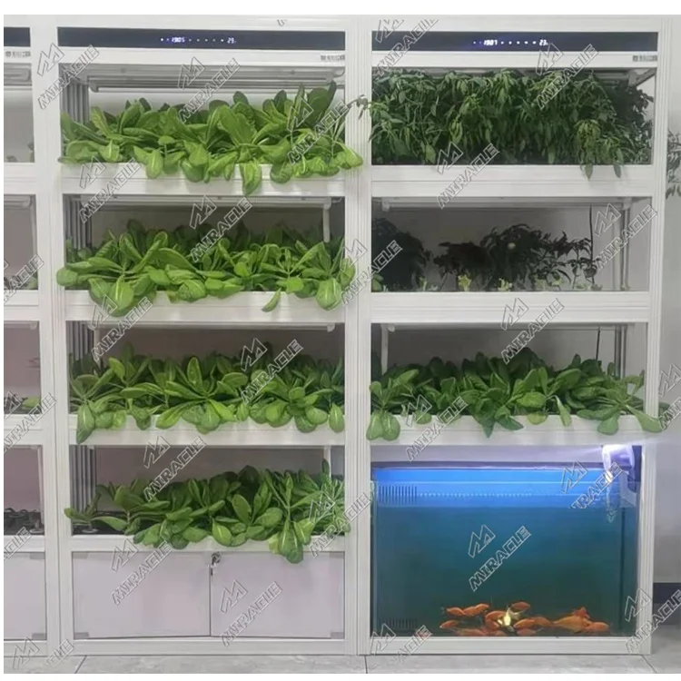 e Smart Planter أنظمة الزراعة المائية بالفراولة والزراعة بدون تربة والخضروات المائية #2