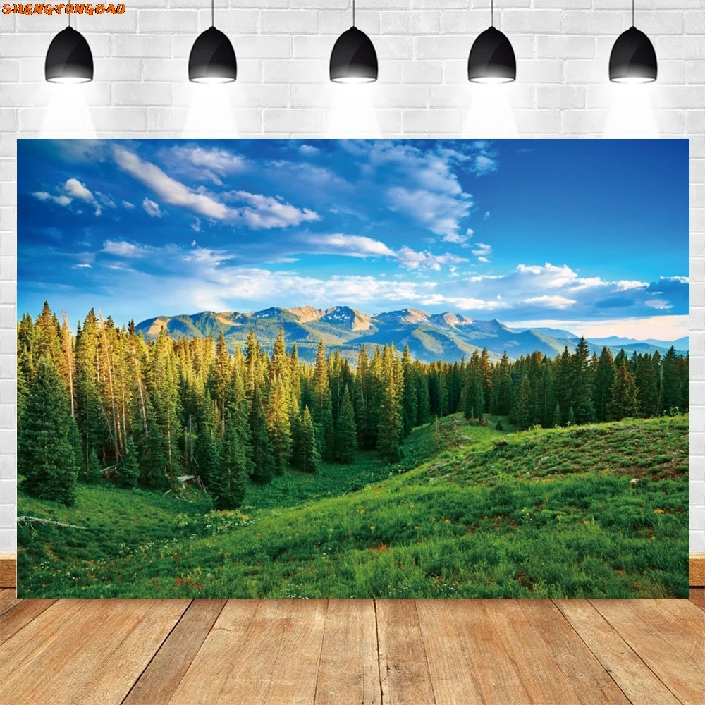 خلفية تصوير ربيعية، عشب الغابة الخضراء، السماء الزرقاء، المناظر الطبيعية الجبلية، ديكور العطلة، صورة خلفية الصورة