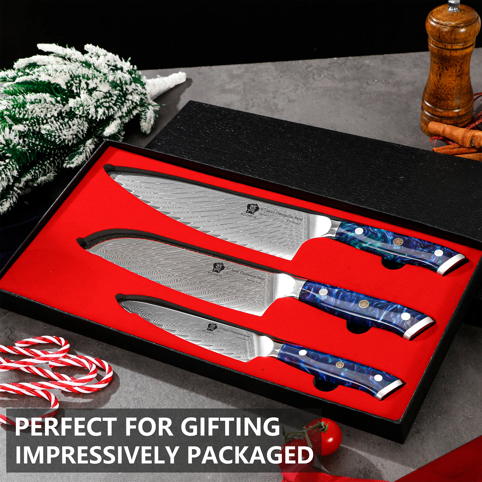 WILDMOK 67 Layer Damascus VG10 Steel Kitchen Knife Set 3 PCS, Kitchen Knives Made of Japanese Damascus Steel, with Resin Handle