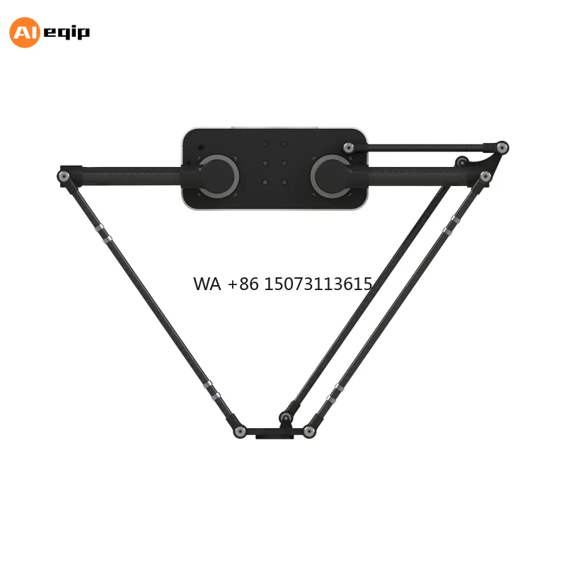Industrial Robot Arm  Packing Machine Production Line Spider Hand Robot Packer  for Case Packer