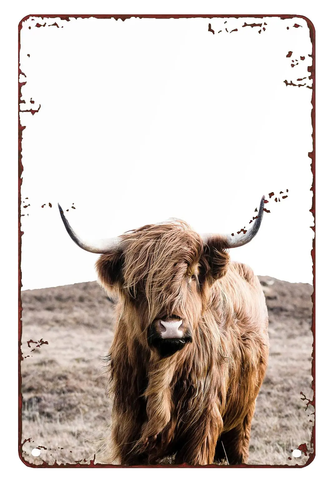 Highland Cow Decor Birthday Highland Cow Buffalo Print Cattle Farmhouse Tin Signs for Garage Tin Sign Chic Art Wall Metal Decora