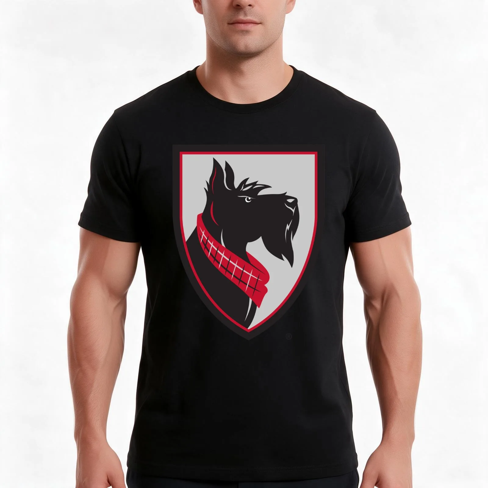carnegie mellon tartans T-Shirt, Summer Casual Cotton Tee, Oversized Streetwear Tops, Vintage Graphic Print, Unisex Men Women