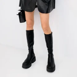Botas De Mujer Ladies Fashion Knee Boots High Heels Thin Tall Boots Autumn Winter Warm Thick Sole Elastic  Rider Boots