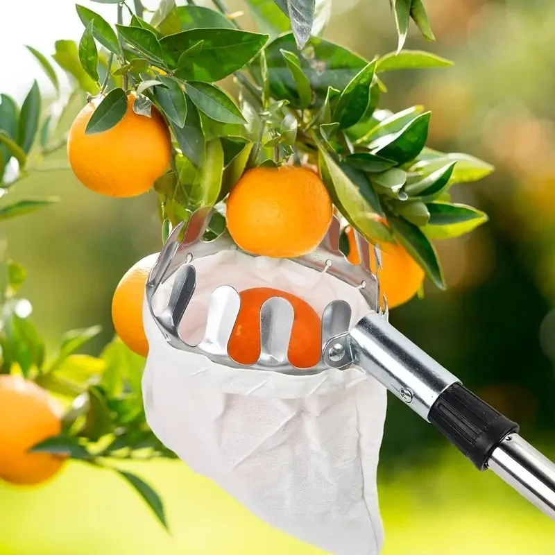 

Stainless Steel Splicing Rod Fruit Picker - 3.2/3.6/4M Telescopic Pole for High Tree Orchard, Farm & Garden