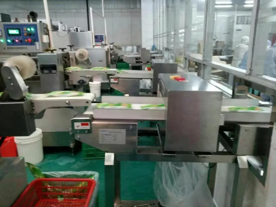 60 min Conveyor Metal Detector Industrial Metal Detector Machine for Food Digital Metal Detection Machine