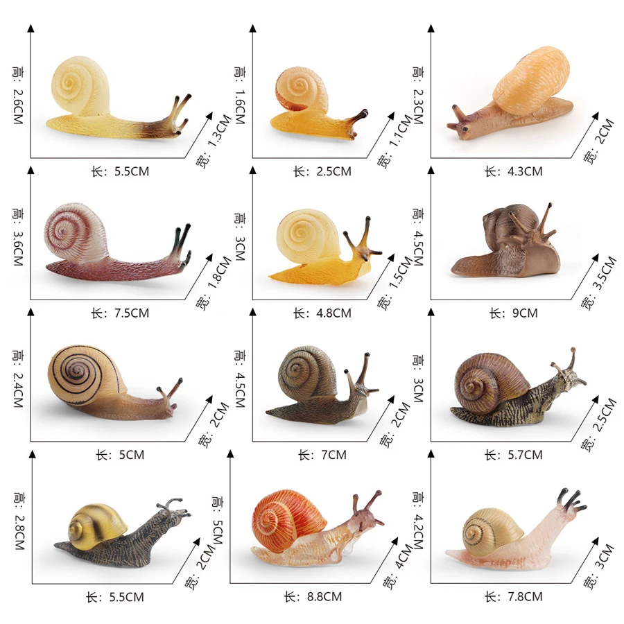 Realistic Life Cycle Of A Snail Model Figure Snail Figurine Party Favors Supplies Cake Toppers Desktop Decoration Collection Toy