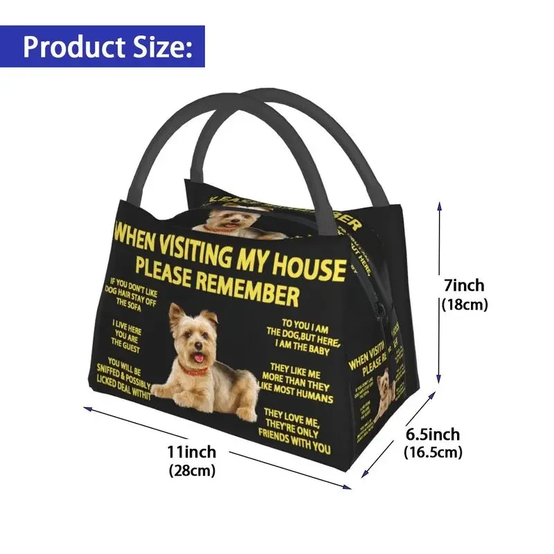 Bolsa de almuerzo personalizada con bonito perro Yorkie Yorkshire Terrier, nevera para hombres, fiambrera con aislamiento cálido para viajes de oficina